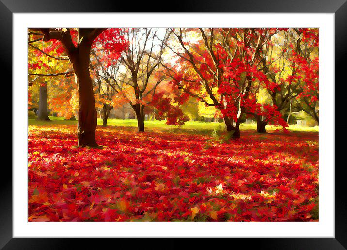 Autumn leaves. Framed Mounted Print by paul cowles