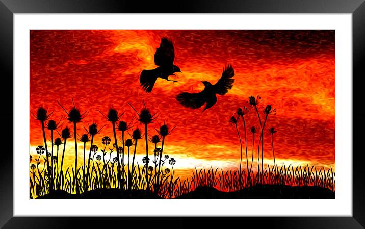 Sunrise. Framed Mounted Print by paul cowles