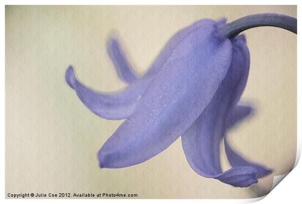 Spanish Bluebell Print by Julie Coe