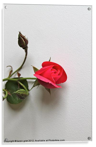 Single Rose Acrylic by karen grist