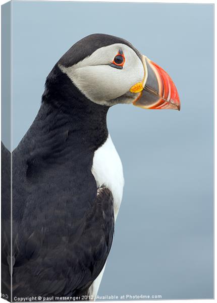 Puffin Isle of Lunga Canvas Print by Paul Messenger