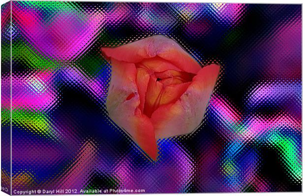 Red Tulip Bud on Stylized Canvas Print by Daryl Hill