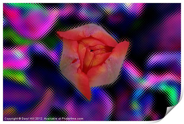 Red Tulip Bud on Stylized Print by Daryl Hill