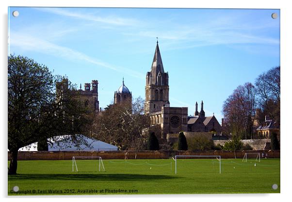 Oxford Spires from Christ Church Meadow Acrylic by Terri Waters