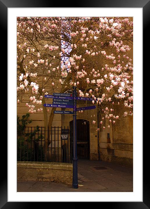 What To Do In Oxford Framed Mounted Print by Terri Waters