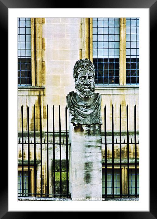 Oxford Head - cross processed Framed Mounted Print by Lucy Antony