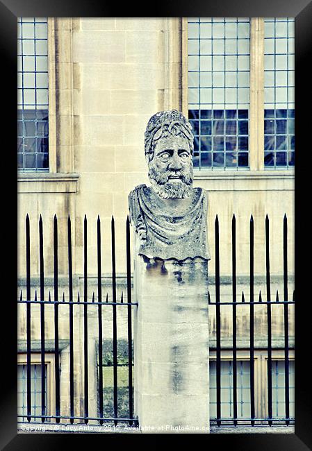 Oxford Head - hi key Framed Print by Lucy Antony
