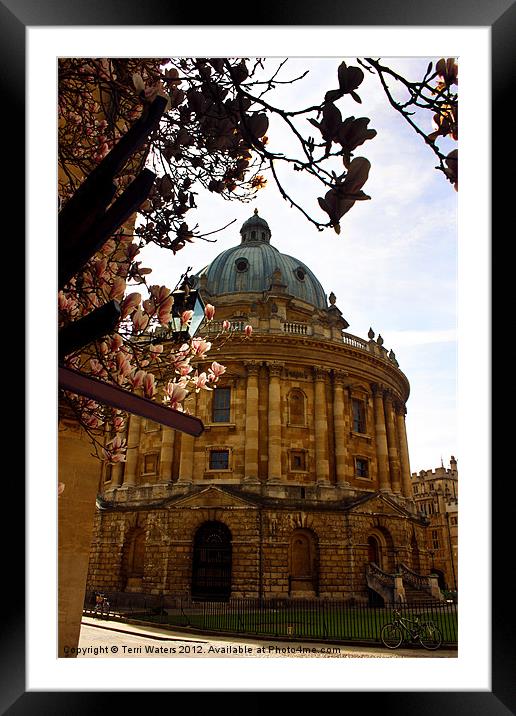 Radcliffe Camera Reading Rooms Oxford Framed Mounted Print by Terri Waters