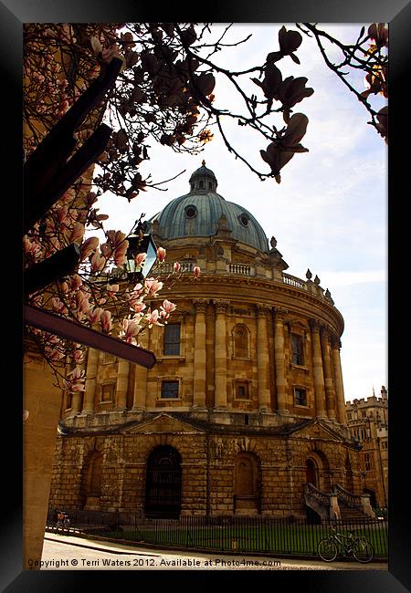 Radcliffe Camera Reading Rooms Oxford Framed Print by Terri Waters