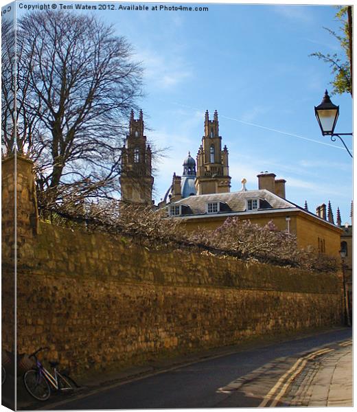 All Souls College from Queen's Lane Oxford Canvas Print by Terri Waters
