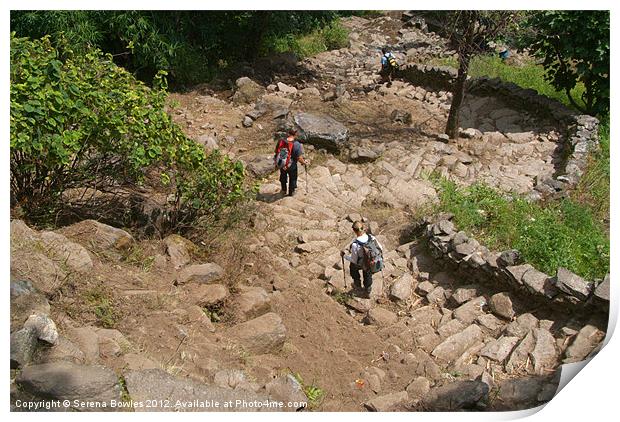 Descending Steps near Tikhedhunga Print by Serena Bowles
