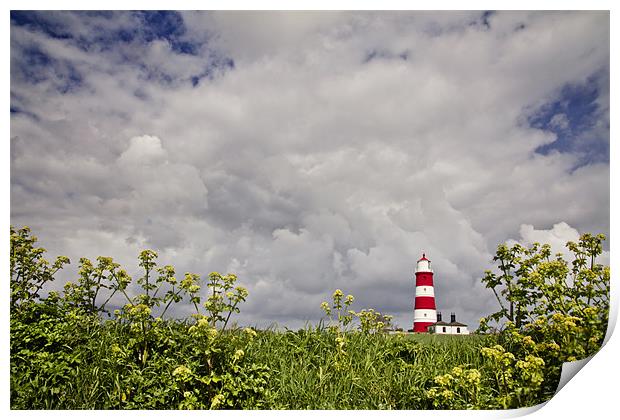 Happisburgh Lighthouse Print by Paul Macro