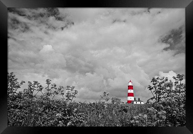 Happisburgh Lighthouse Colour Popping Framed Print by Paul Macro