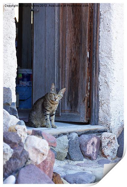 Cat in doorway Print by Digby Merry
