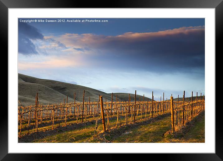 Vineyard Storm Framed Mounted Print by Mike Dawson