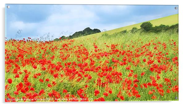 Field of Poppies Acrylic by Natalie Kinnear