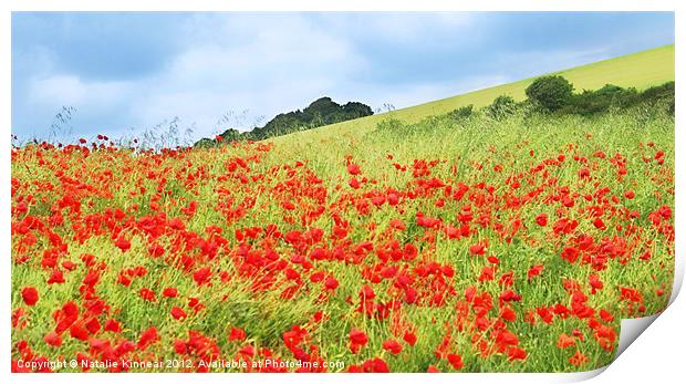 Field of Poppies Print by Natalie Kinnear