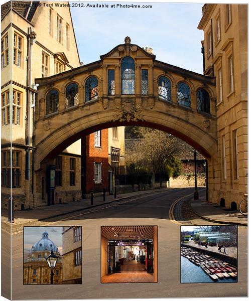 Visit Oxford Learning Pleasure Shopping Canvas Print by Terri Waters