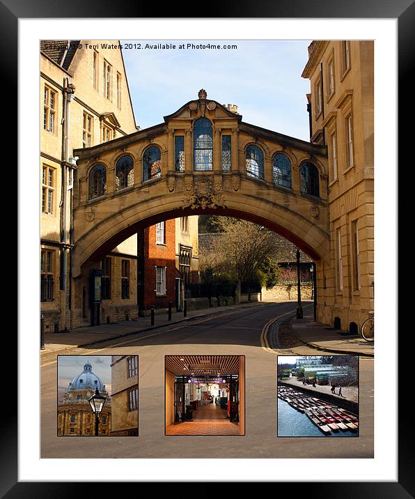 Visit Oxford Learning Pleasure Shopping Framed Mounted Print by Terri Waters