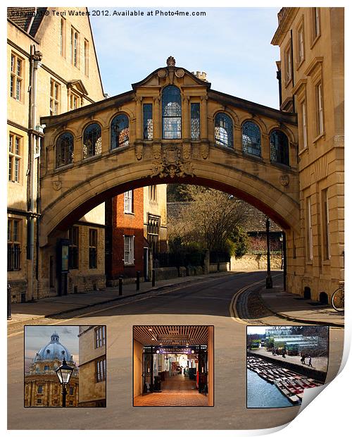 Visit Oxford Learning Pleasure Shopping Print by Terri Waters