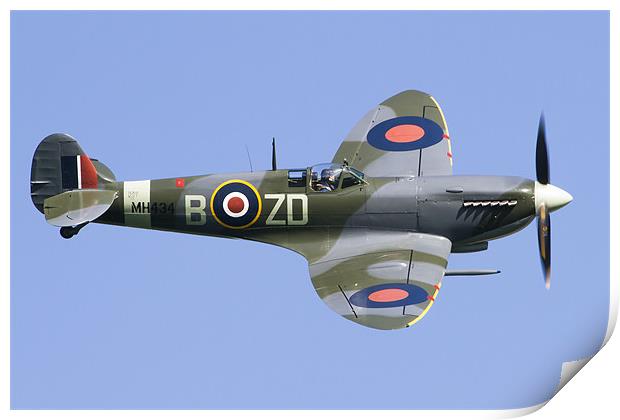 Supermarine Spitfire MkIX Print by Adam Duffield