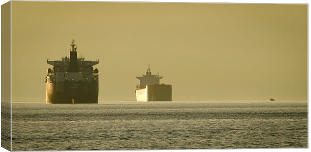 TANKER SUNSET beach park vancouver bc canada Canvas Print by Andy Smy