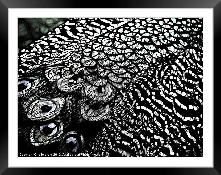 peacock deluxe Framed Mounted Print by Jo Beerens
