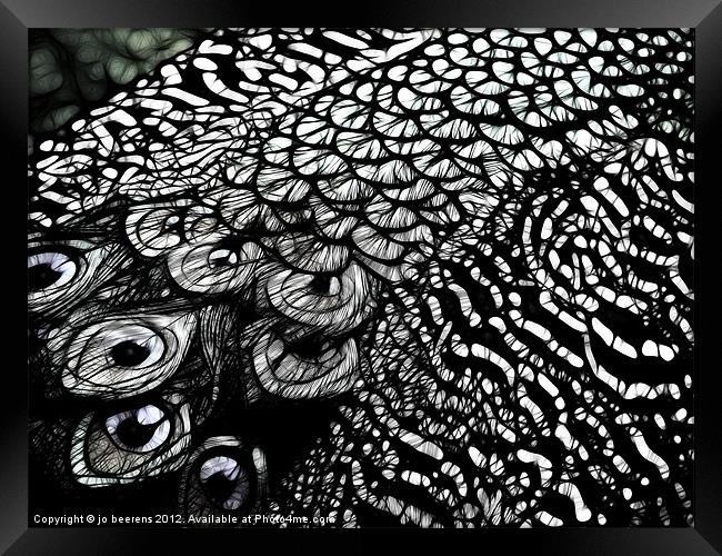 peacock deluxe Framed Print by Jo Beerens