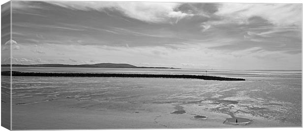 Gower View in Mono Canvas Print by Donna Collett