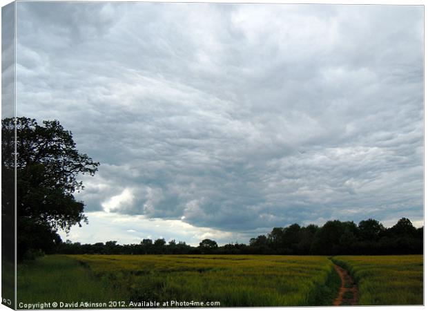 GREY SKIES Canvas Print by David Atkinson