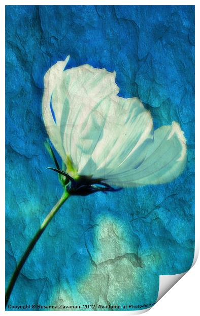 Blue Texture Flower. Print by Rosanna Zavanaiu