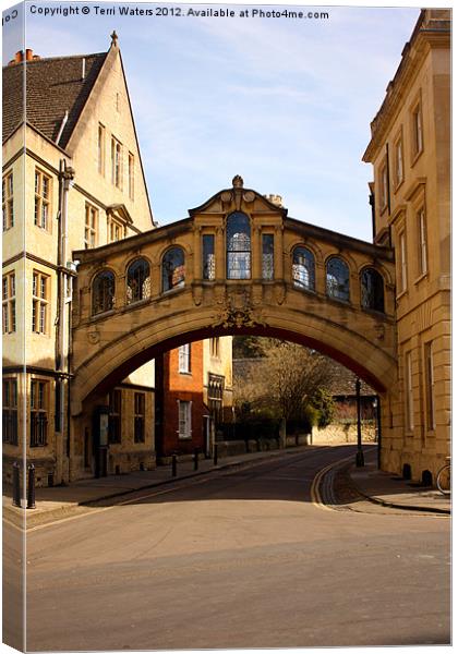 Sighs Over New College Lane Canvas Print by Terri Waters