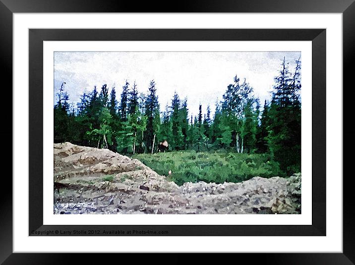 Moose in Alaska Framed Mounted Print by Larry Stolle