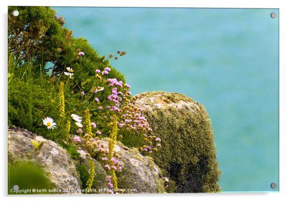 cliff edge plants Acrylic by keith sutton