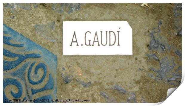 A.GAUDI Print by Westley Grant