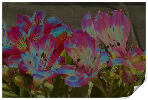 Abstract Flowers Print by Emma Howell-Williams