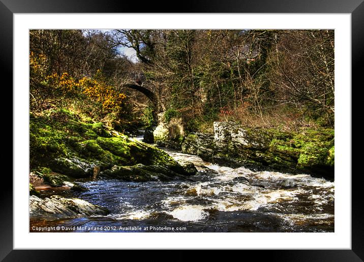 Spring in Roe Valley Country park Framed Mounted Print by David McFarland