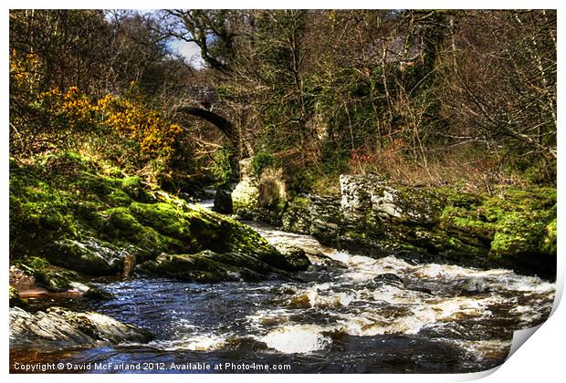 Spring in Roe Valley Country park Print by David McFarland