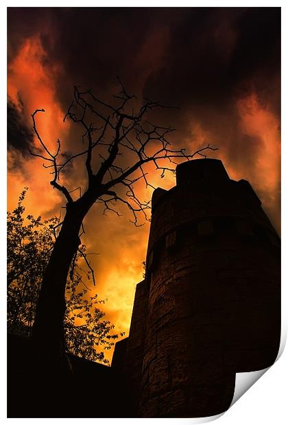 sunset silhouette Print by Northeast Images