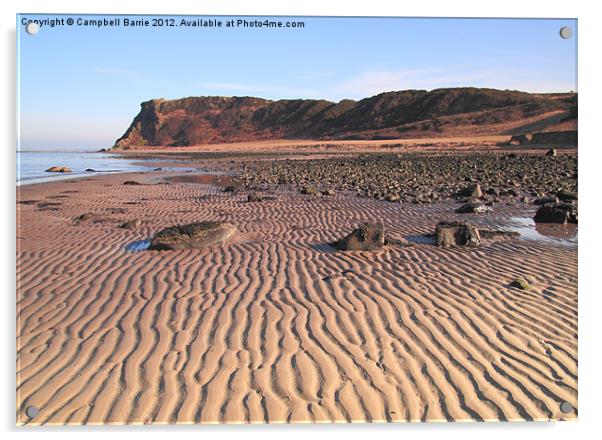 Bracken Bay beach Acrylic by Campbell Barrie