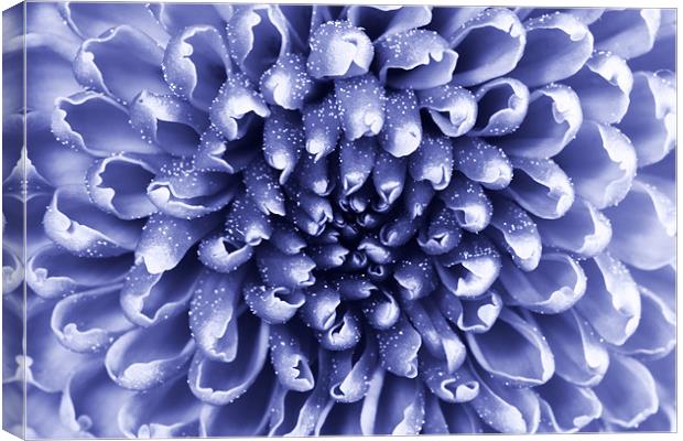 blue abstract flower Canvas Print by Richard  Fox