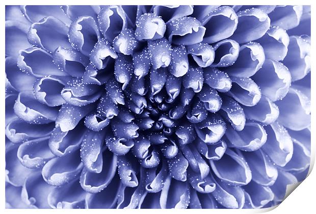 blue abstract flower Print by Richard  Fox
