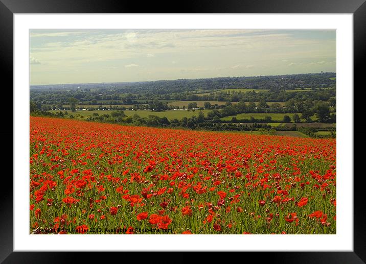Poppies Fields Thames Valley Framed Mounted Print by Jim Hellier