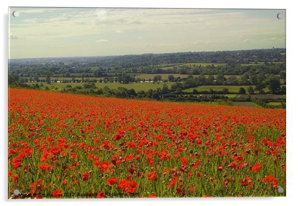 Poppies Fields Thames Valley Acrylic by Jim Hellier