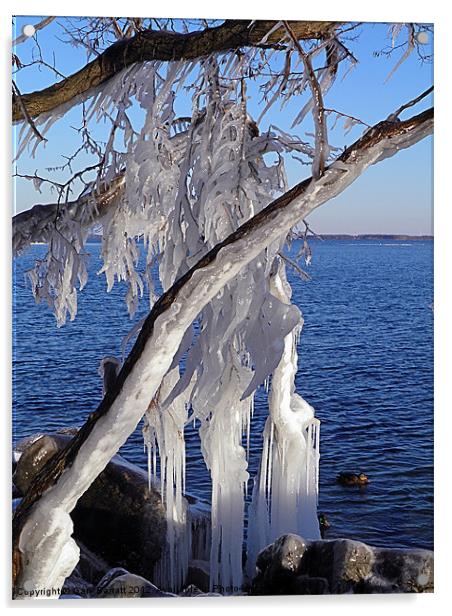 Iced Tree Acrylic by Gary Barratt