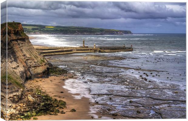 Whitby Harbour from the Coastal Path Canvas Print by Tom Gomez