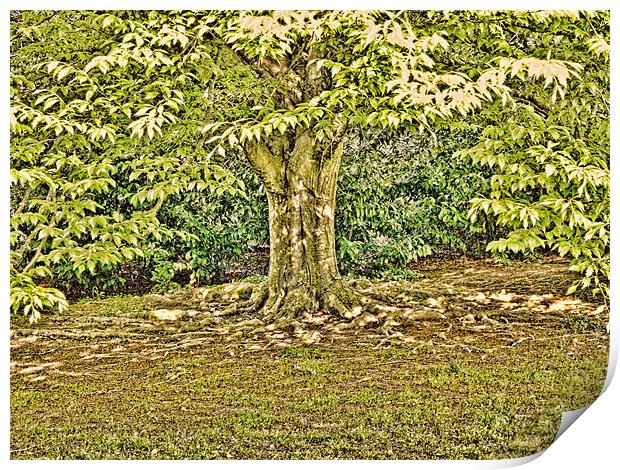 Under the tree Print by Sharon Lisa Clarke