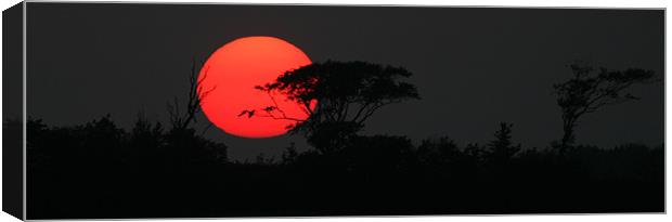 The Long Sunset Canvas Print by Mike Gorton