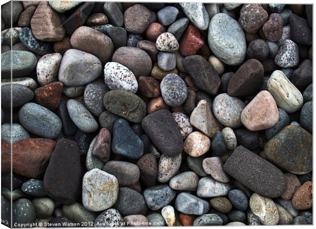 Pebbles at Ardmucknish Canvas Print by Steven Watson