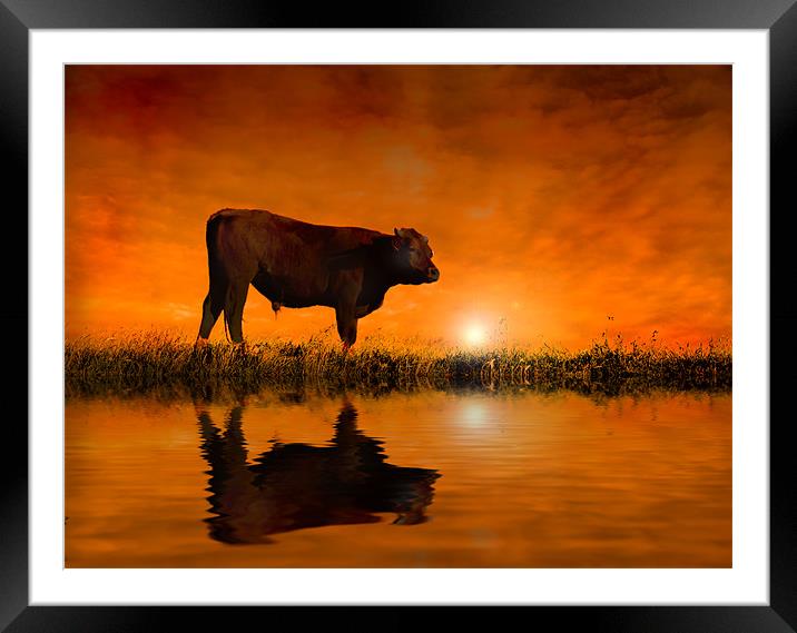 Into the Sunset Framed Mounted Print by Mike Sherman Photog